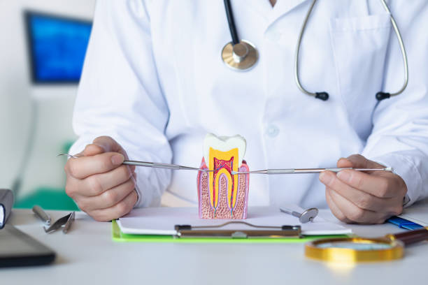 Best Urgent Tooth Repair  in Four Corners, TX